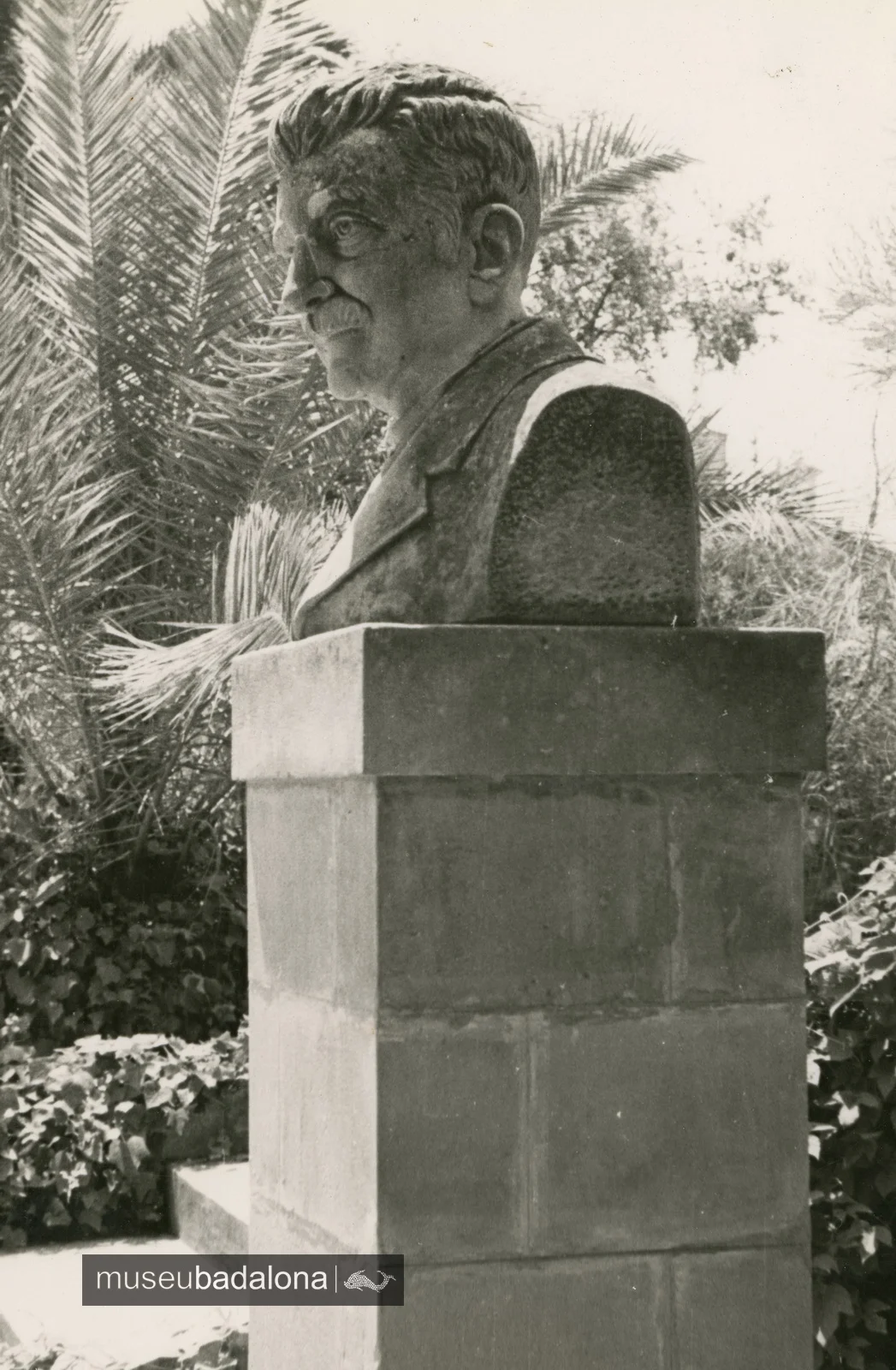 El bust d’Evarist Arnús, 1951