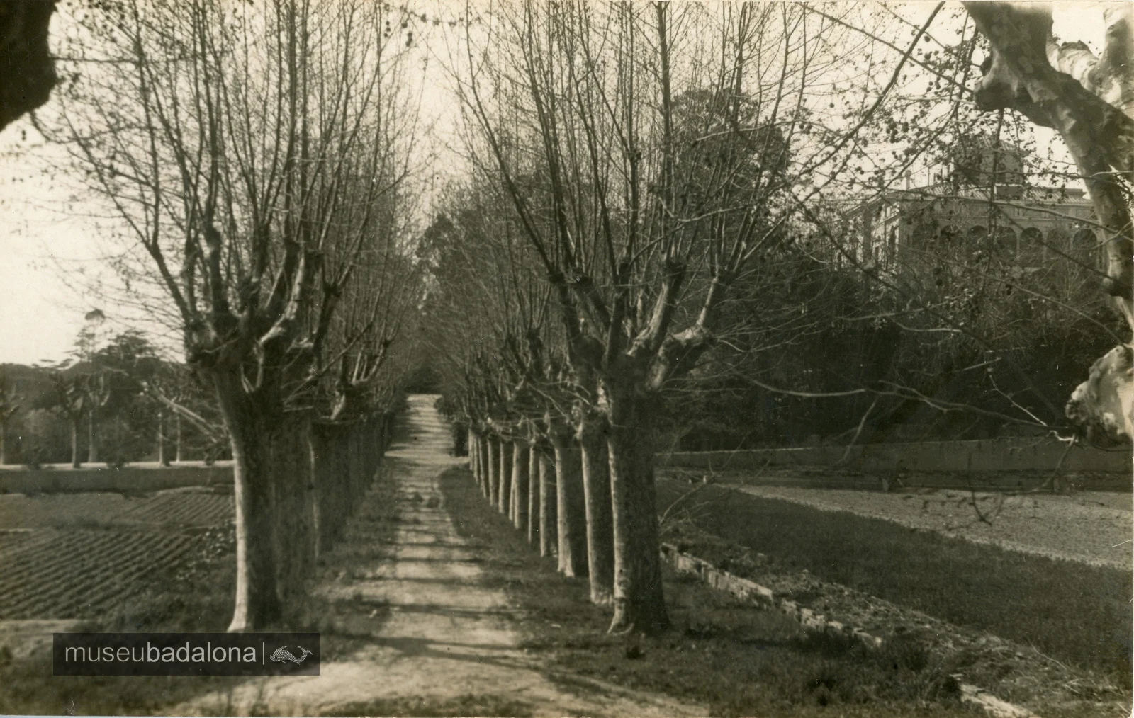 L’entrada de Canyadó als anys cinquanta