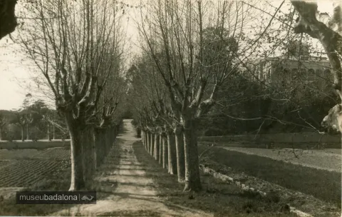 L’entrada de Canyadó als anys cinquanta
